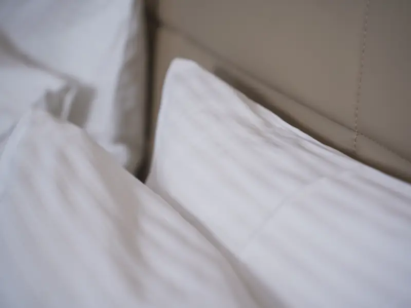 Jastučnice – Damast